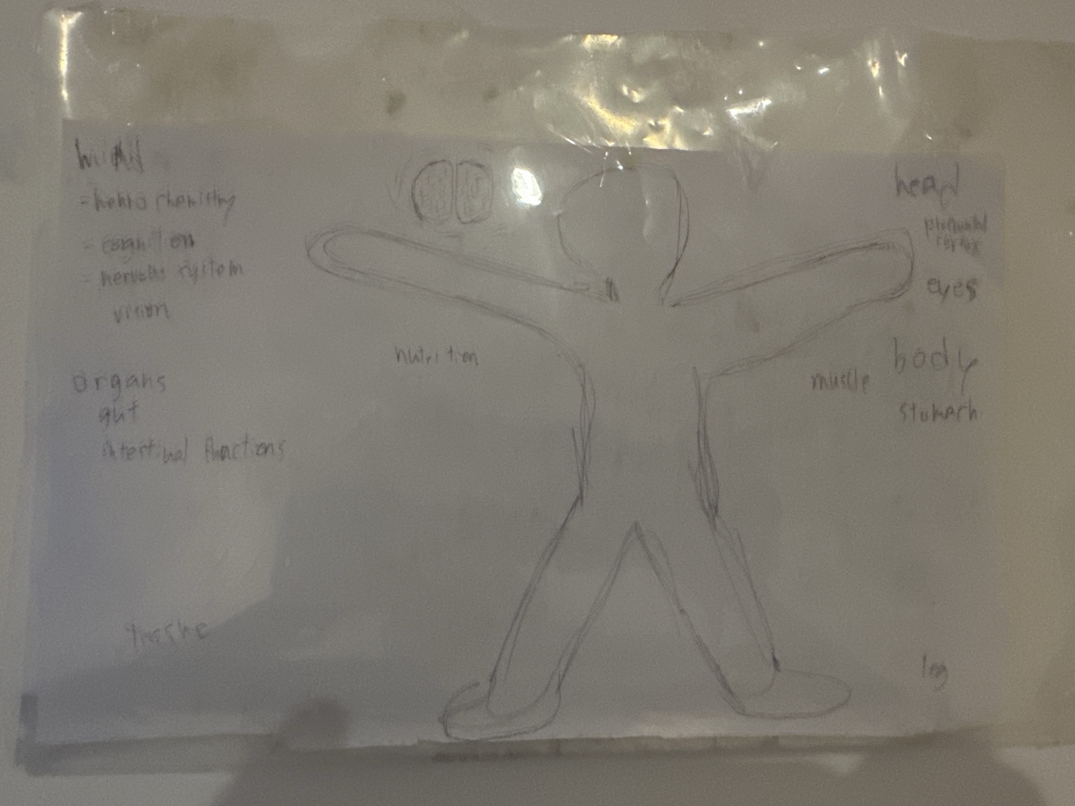 Original body awareness drawing